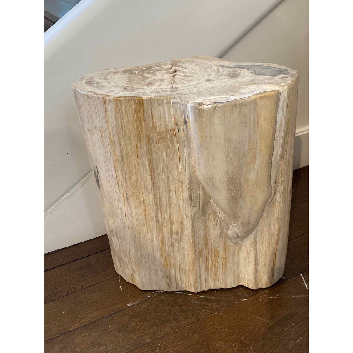 Petrified Wood Stump 18"Hx16"D