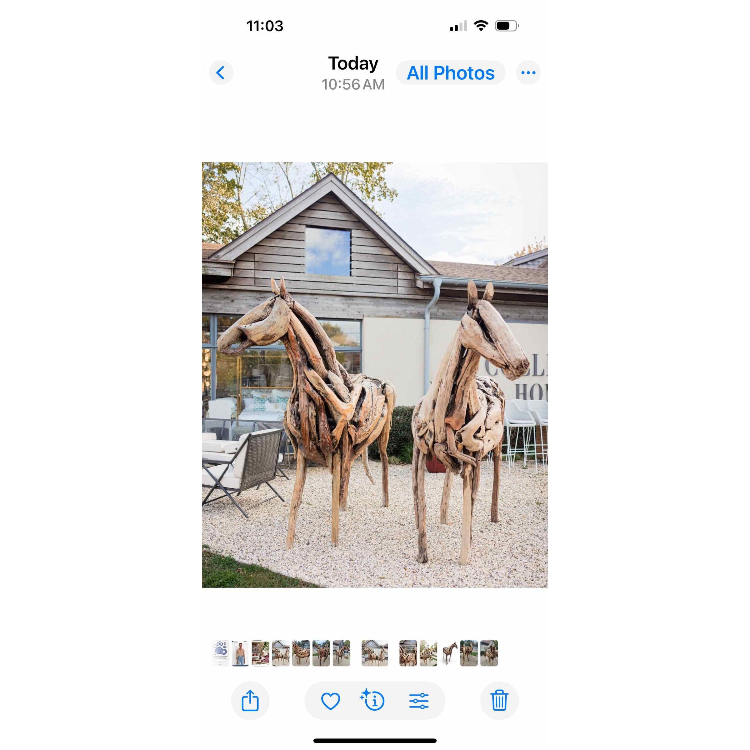 Driftwood Horse by Franco Cuttica