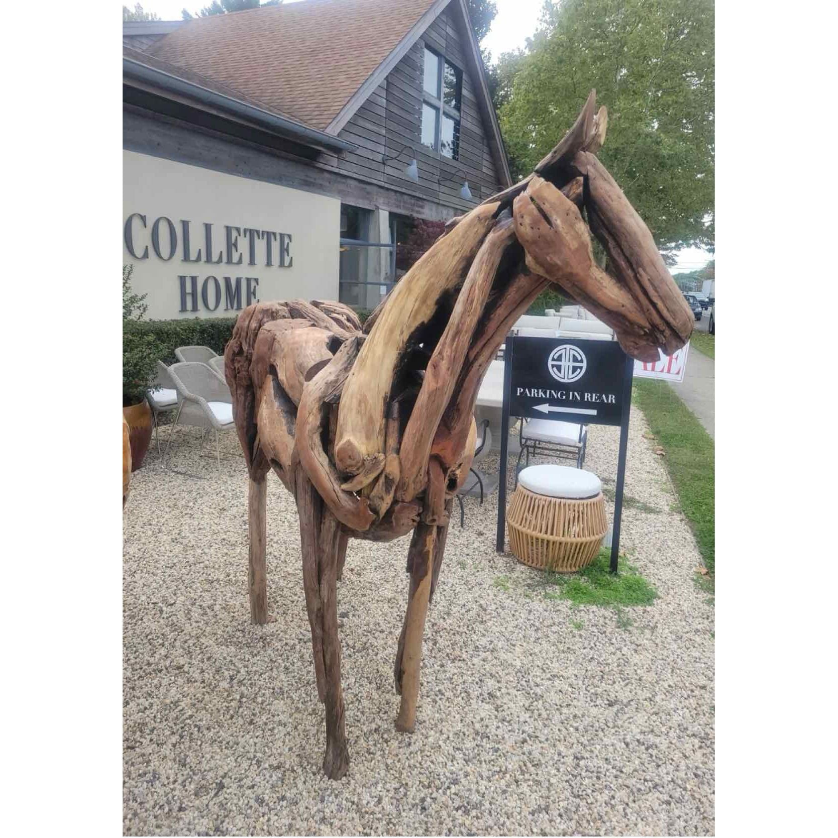 Driftwood Horse by Franco Cuttica