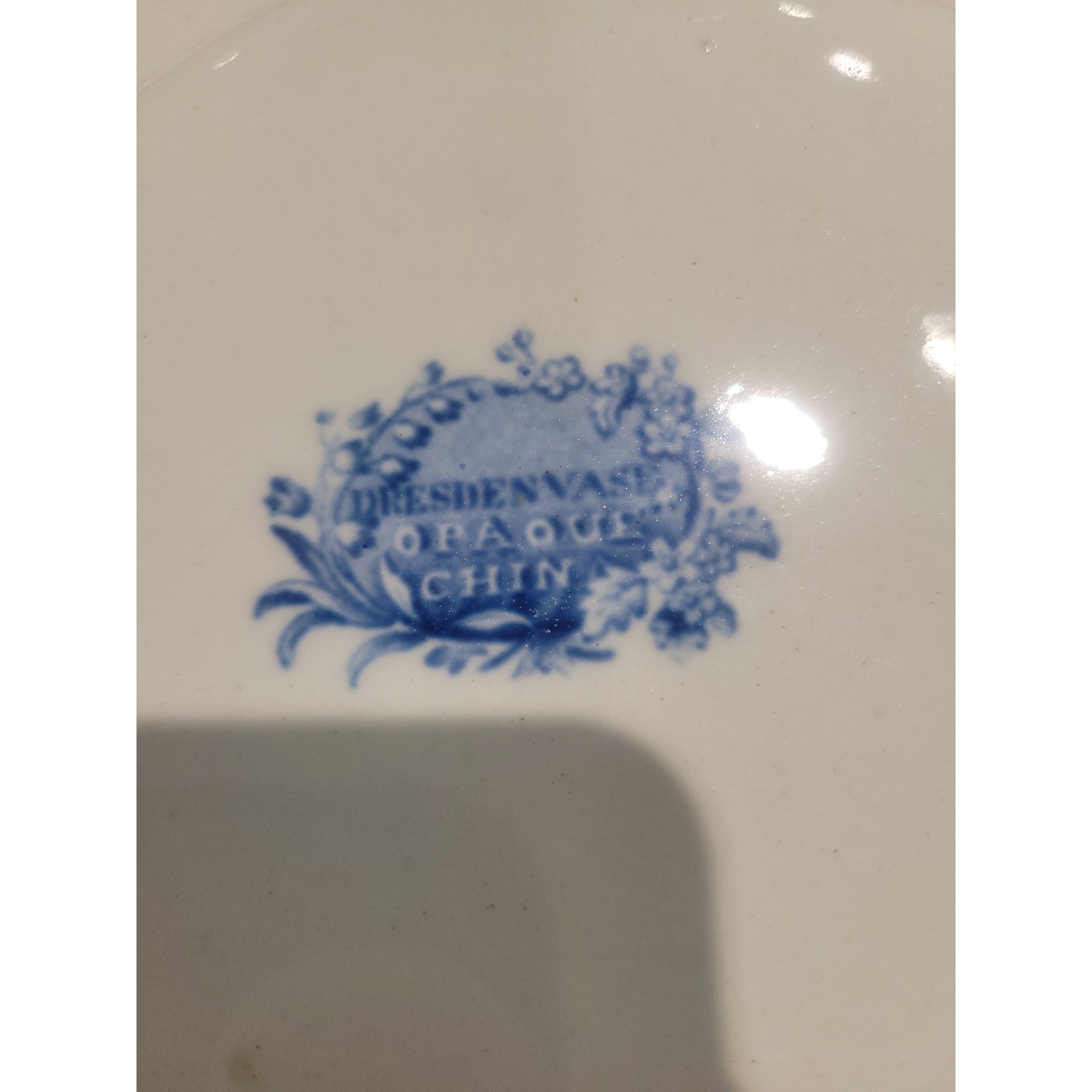 SET of 6 Dresden Floral Painted China Plates - colletteconsignment.com