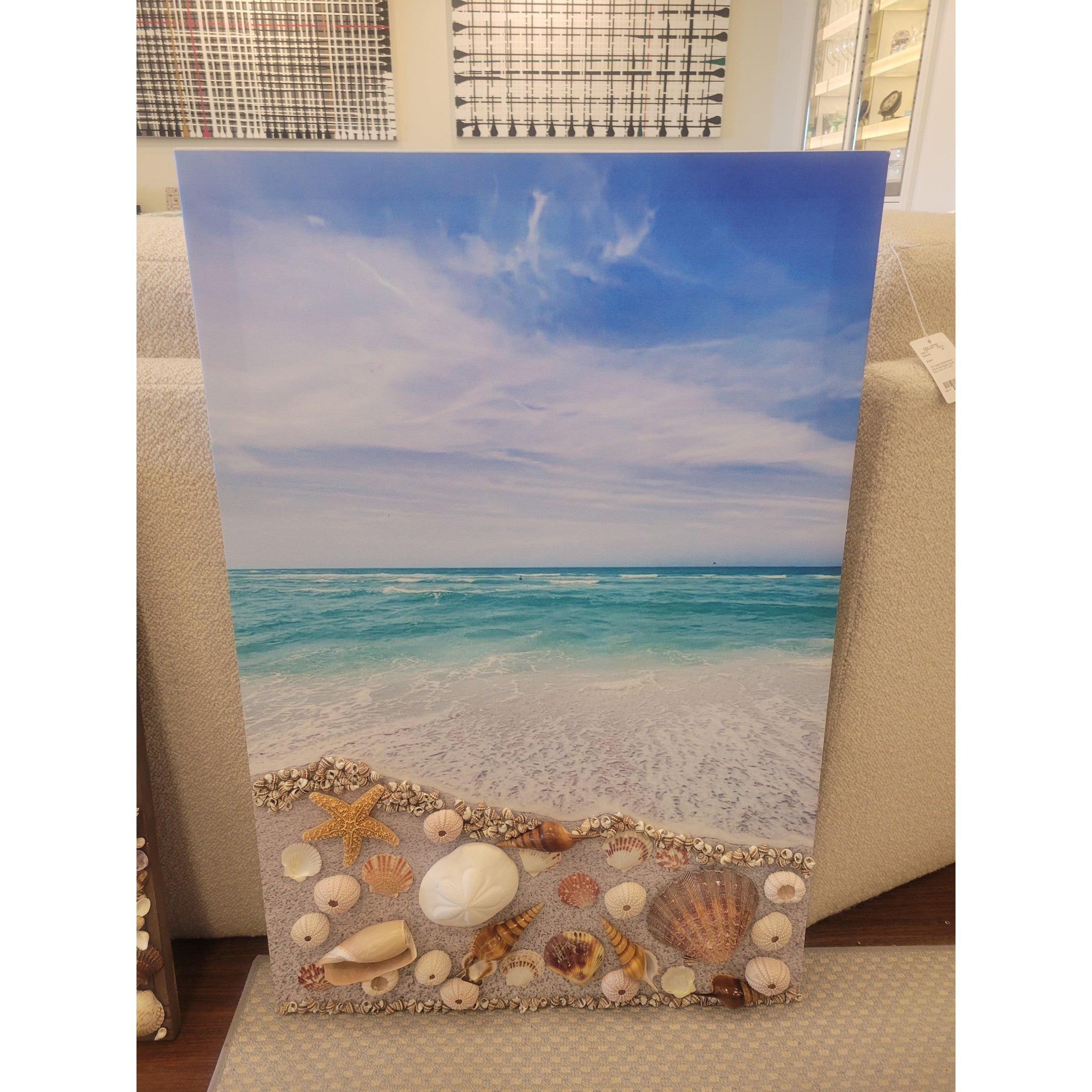Caribbean Shells on Clear Sky Beach Canvas