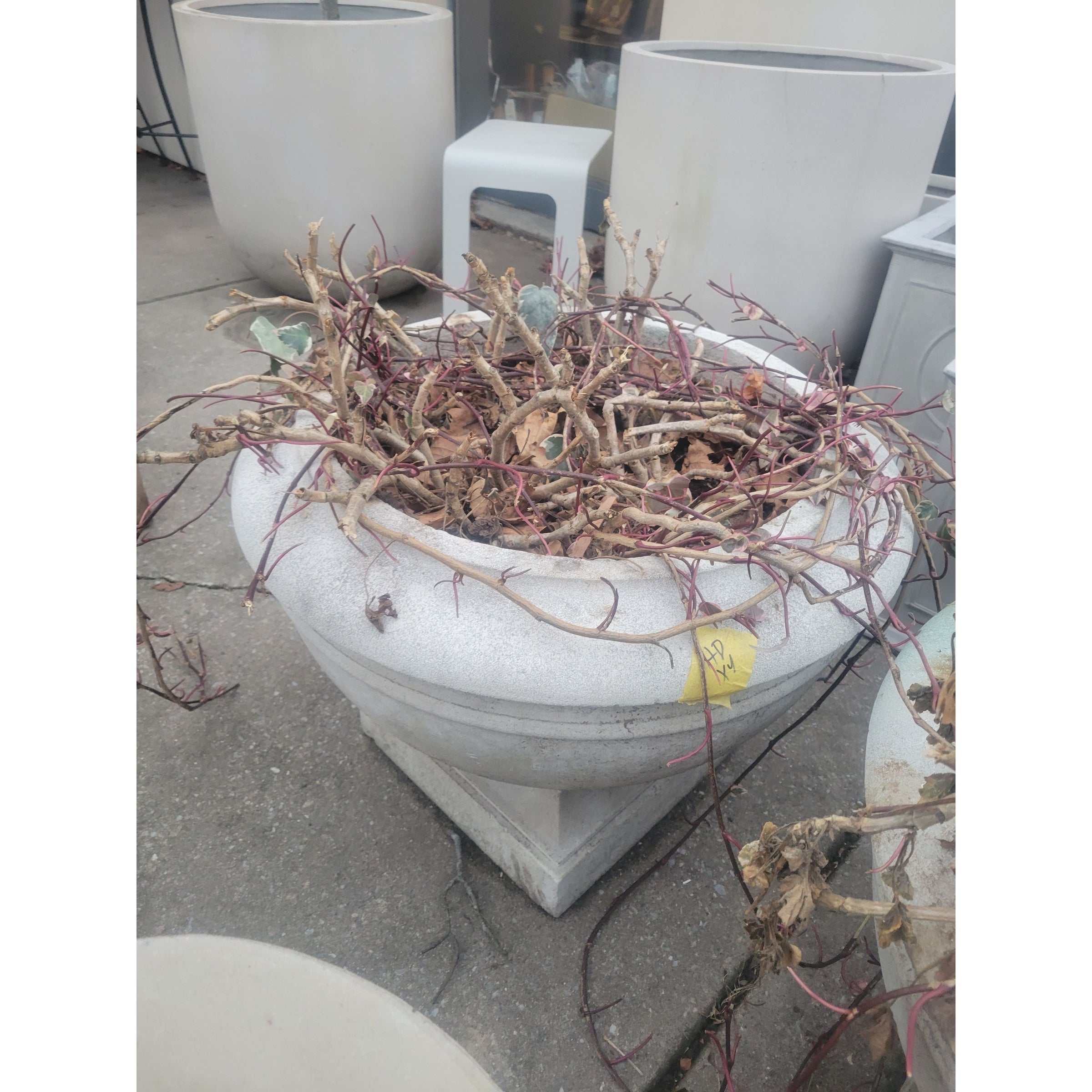 Stone Bowl Pedestal Planter - colletteconsignment.com