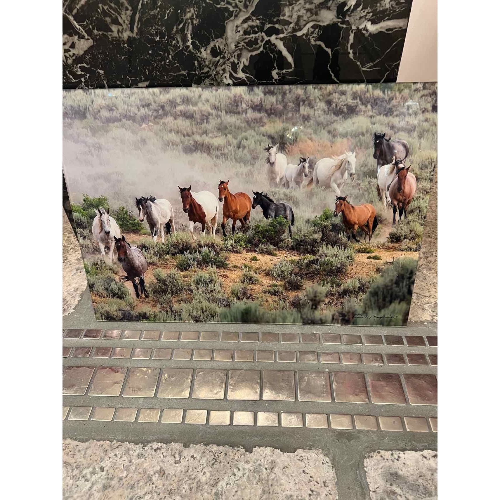 Horse Artwork on Plexiglass