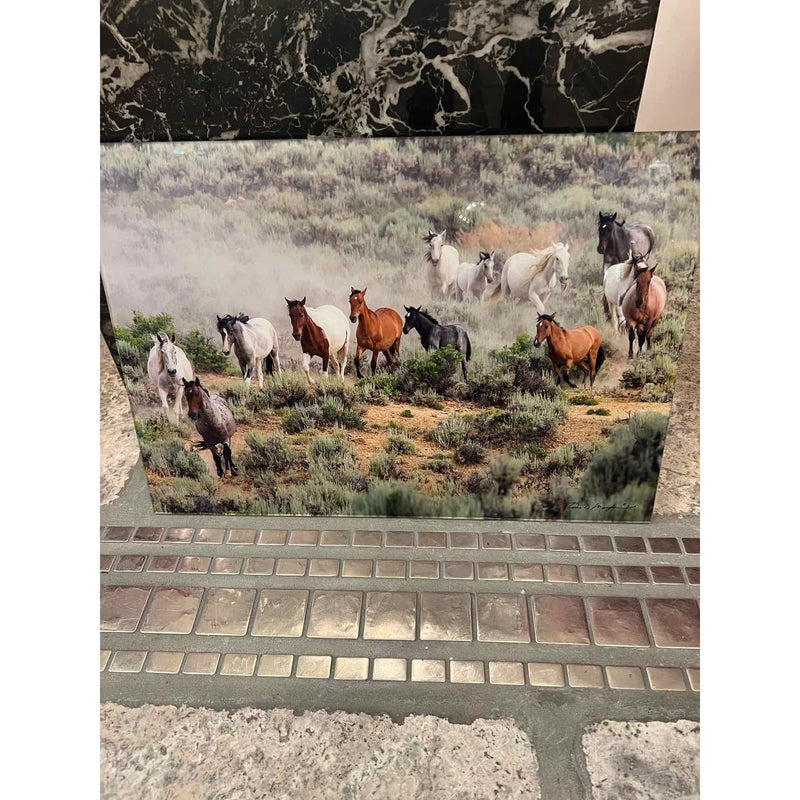 Horse Artwork on Plexiglass