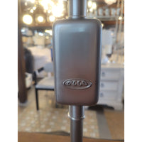 PAIR of Industrial Nickel Table Lamps w/ Glass Shades