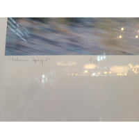 'Bohemian Spring #2' L.E. Print of 15 by Peter Margonelli in White Frame - colletteconsignment.com