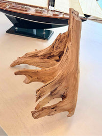 Driftwood