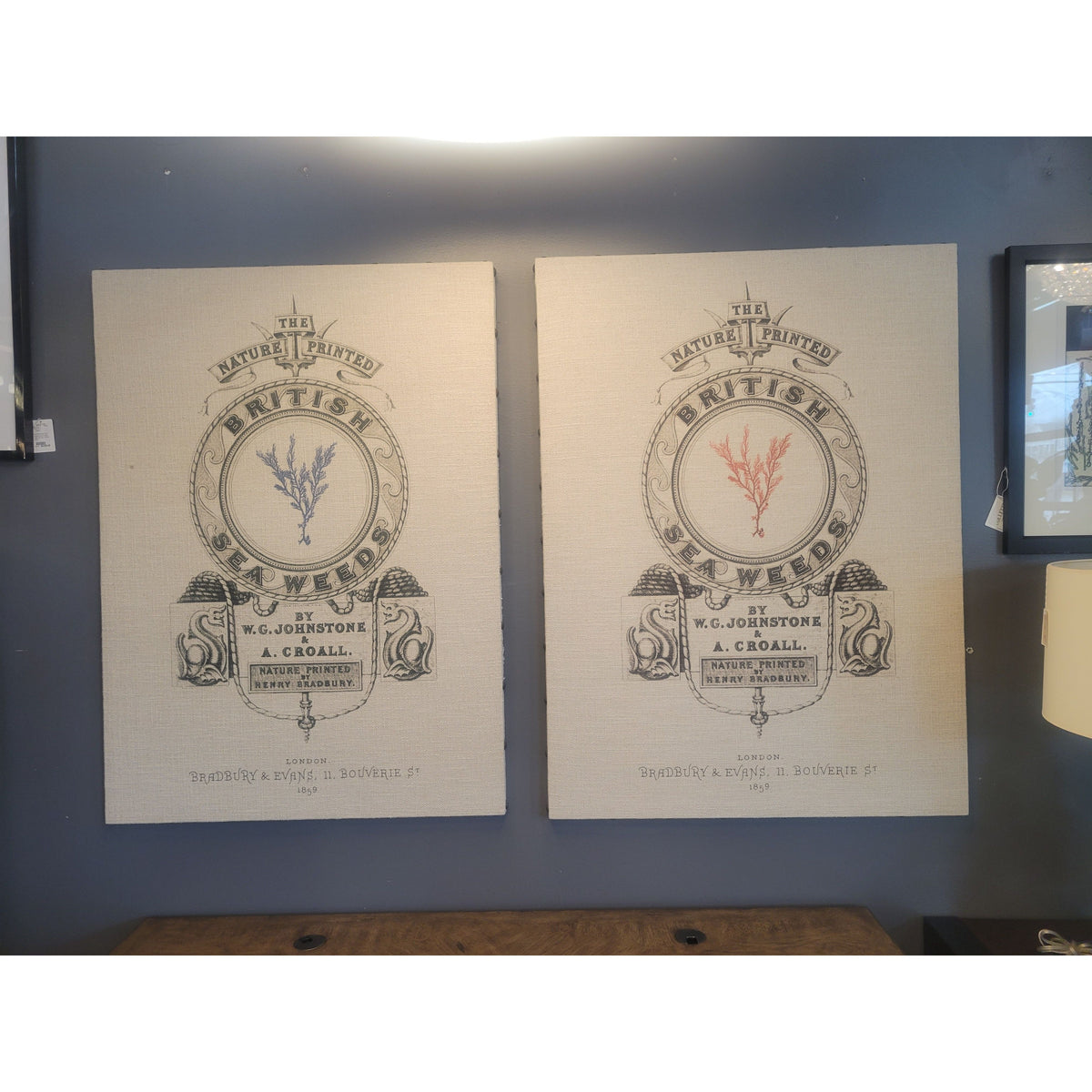 Blue British Sea Weeds Print on Canvas - colletteconsignment.com