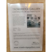 Framed Surfboards Giclee Photography Print by Trowbridge Gallery London - AS IS