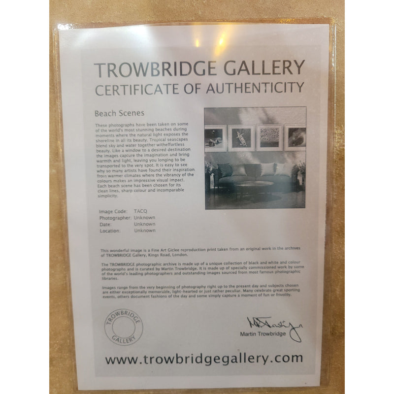 Framed Surfboards Giclee Photography Print by Trowbridge Gallery London - AS IS