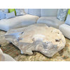 Urban Zen Bleached Teak Root Coffee Table by Donna Karan