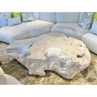 Urban Zen Bleached Teak Root Coffee Table by Donna Karan