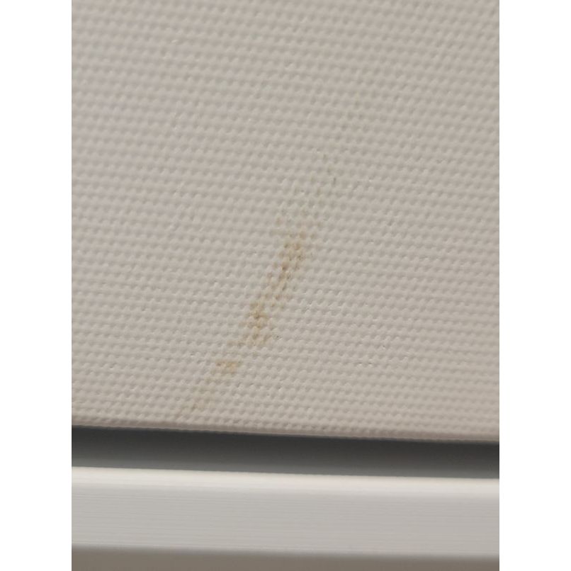 "Sun Goddess" Digital Modern Art Print on Canvas - AS IS