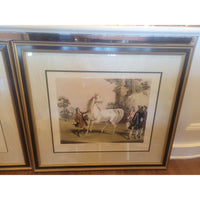 Antique 'Darley Arabian Rozana' Print by F.C. Turner