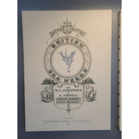 Blue British Sea Weeds Print on Canvas - colletteconsignment.com