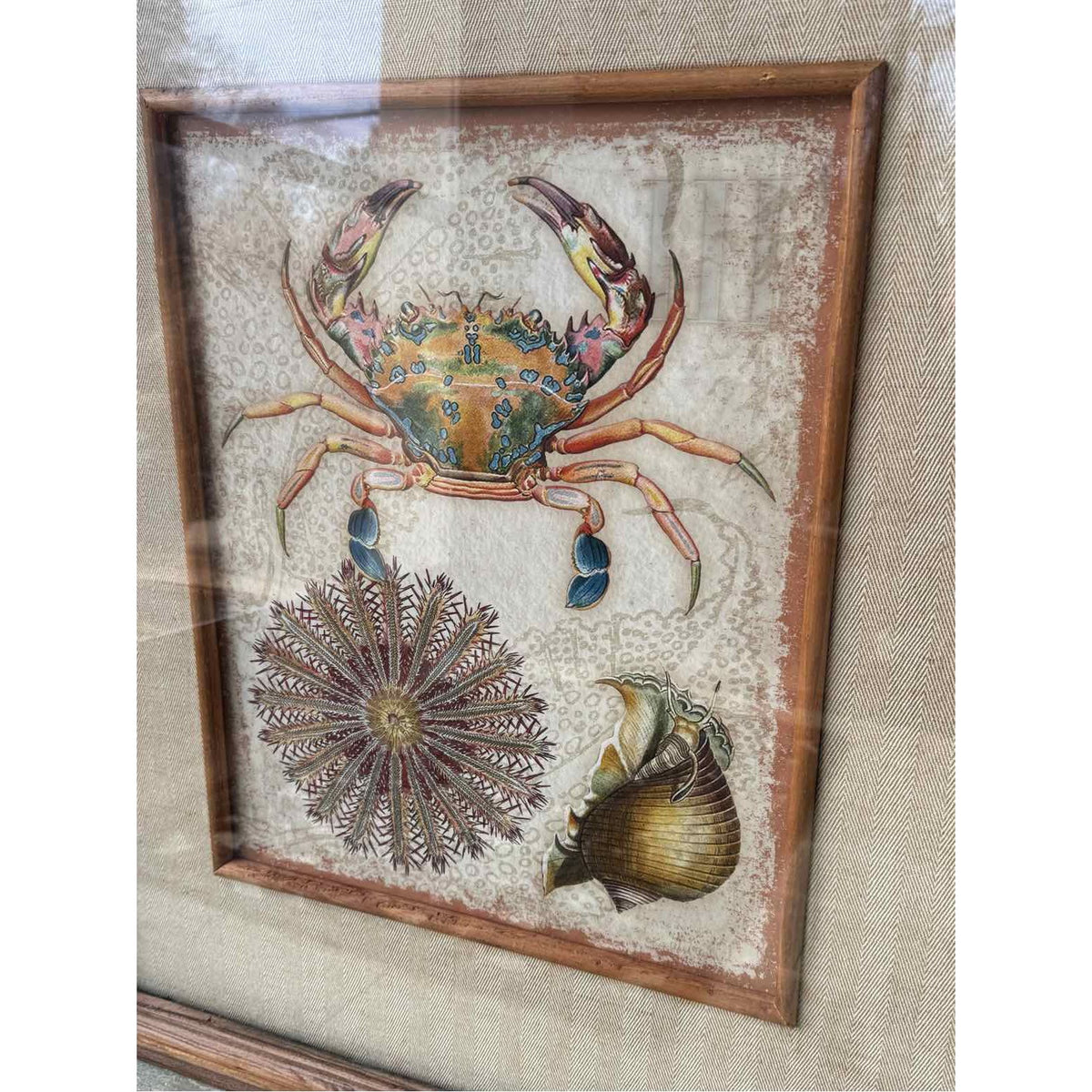 PAIR of Undersea Life Prints in Wood Frames - colletteconsignment.com