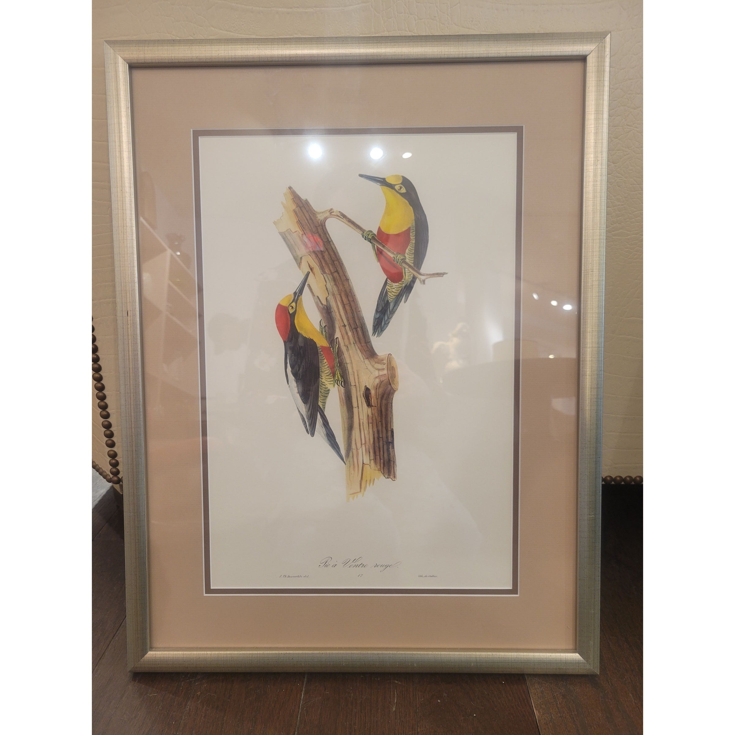 PAIR of Bird Prints by Jean Theodore Descourtilz in Silver Frames