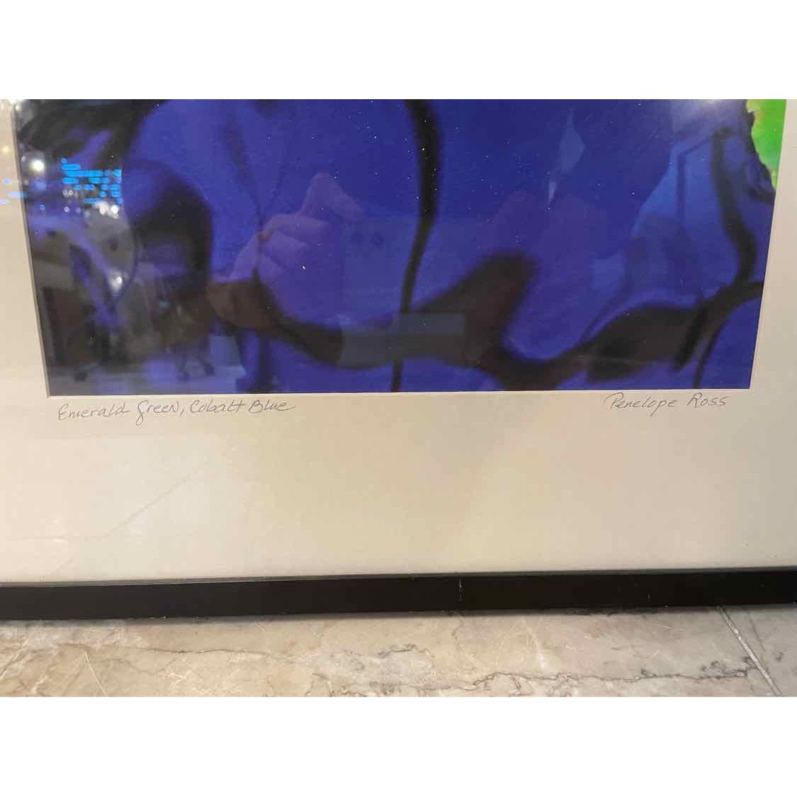 ' Emerald Green, Cobalt Blue ' Art Photo by Penelope Ross in Black Frame