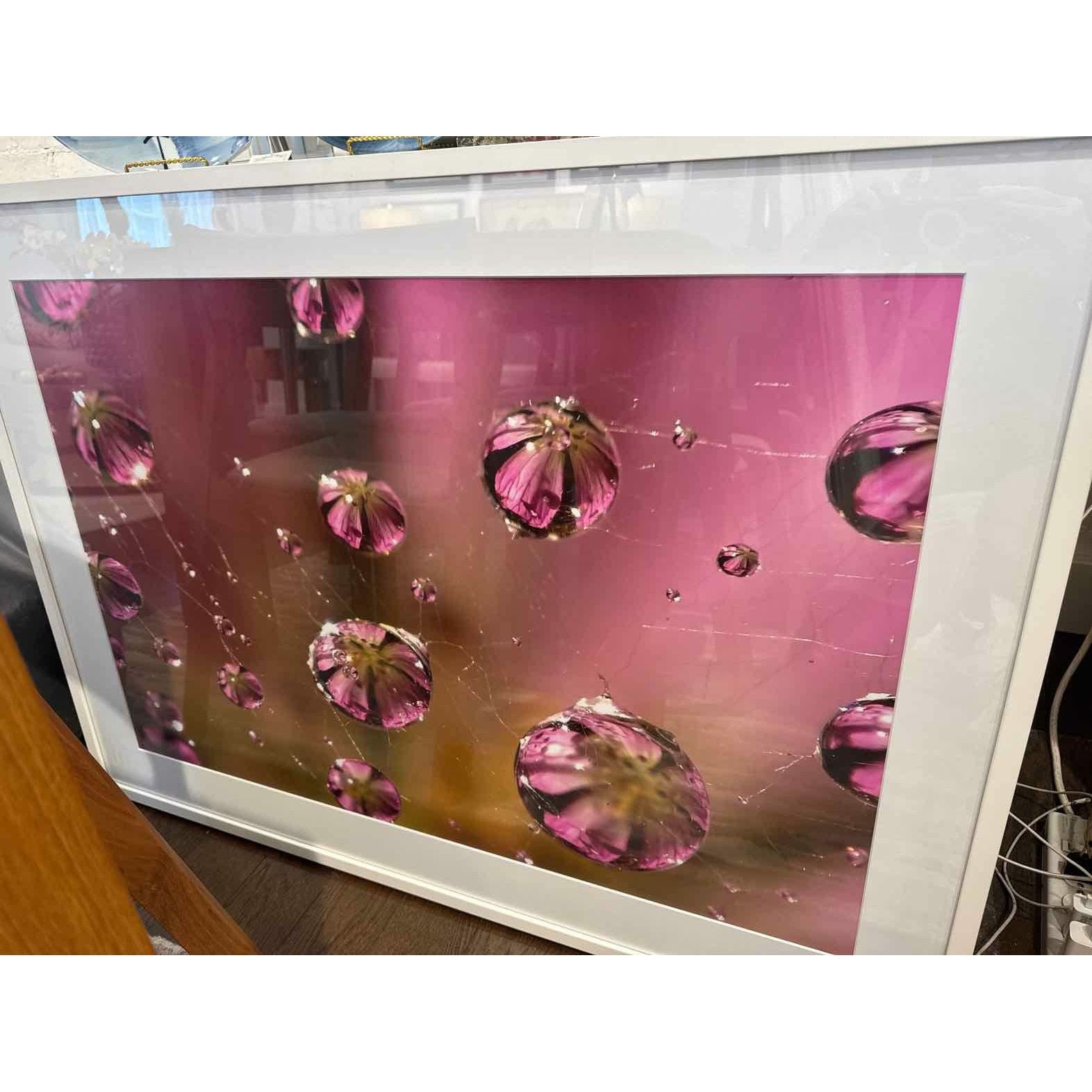 'Who Knew a Web' Print in White Frame - colletteconsignment.com
