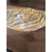 11-Pc Ceramic Oyster Dish Set by AE Ceramics - AS IS
