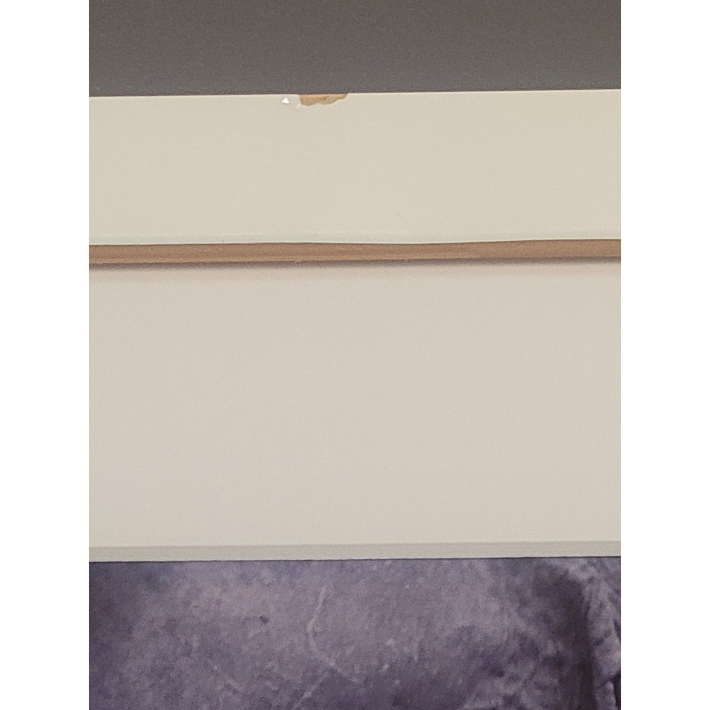 Elephant Parent & Child Photo in White Frame - colletteconsignment.com