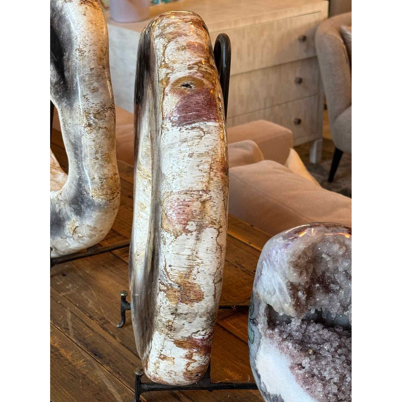 Petrified Wood Ring Sculpture on Iron Stand