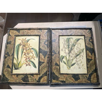 Pair of Antique Style Bamboo Framed Botanical Prints, 17.25"L x 1.5"W x 22.5"H