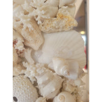 Custom 8-ft Arched Standing Mirror Lined w/ Bahamas Shells (AS IS) - colletteconsignment.com