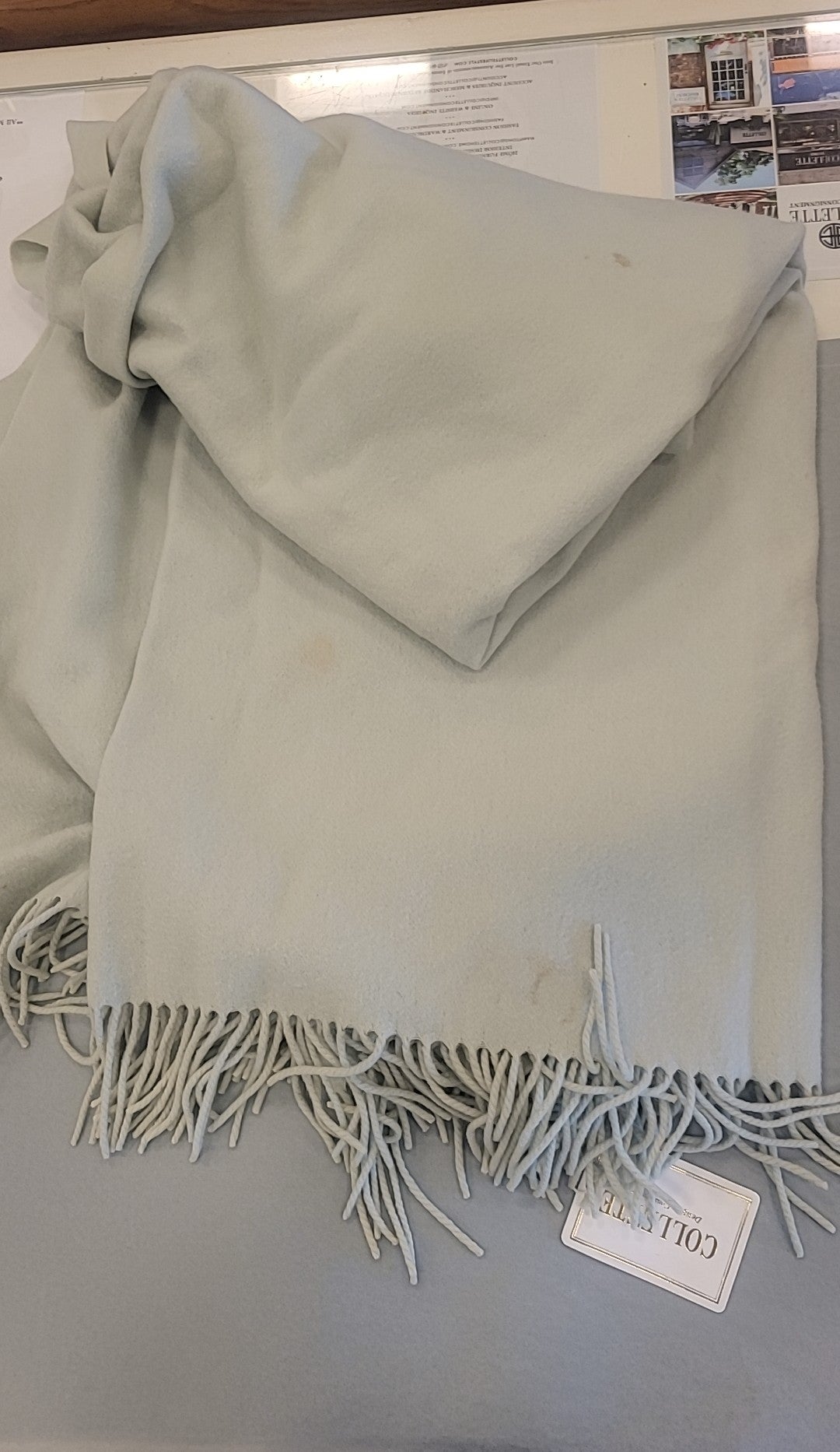 Cashmere Throw Seafoam Green by Eric Bompard (AS IS)