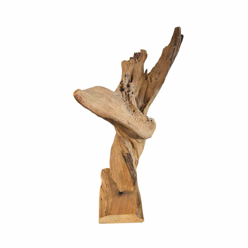 Abstract Driftwood Sculpture