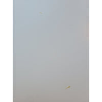 Walnut & Lacquer Mariposa Sideboard w/ Brass Butterflies by Organic Modernism