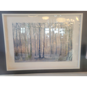 'Bohemian Spring #1' L.E. Print of 15 by Peter Margonelli in White Frame