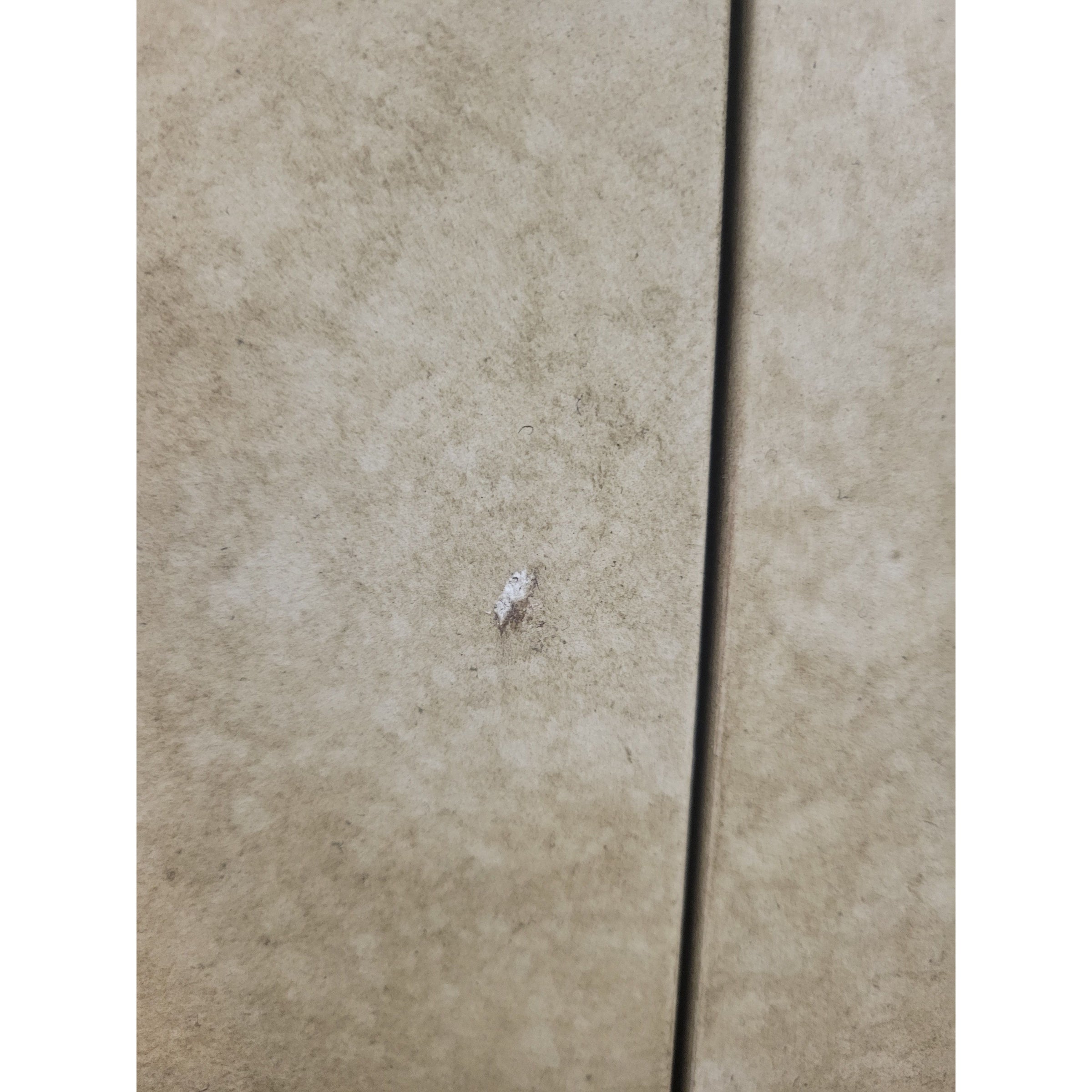 Parchment & Walnut 6-Drawer Dresser w/ Brass Hardware by WS