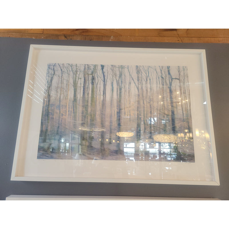 'Bohemian Spring #2' L.E. Print of 15 by Peter Margonelli in White Frame - colletteconsignment.com