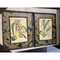 Pair of Antique Style Bamboo Framed Botanical Prints, 17.25"L x 1.5"W x 22.5"H