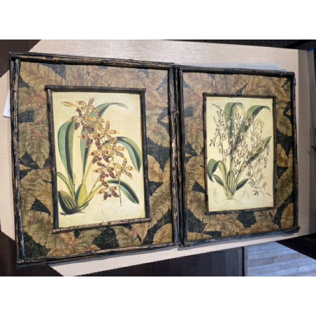 Pair of Antique Style Bamboo Framed Botanical Prints, 17.25"L x 1.5"W x 22.5"H