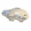 Urban Zen Bleached Teak Root Coffee Table by Donna Karan