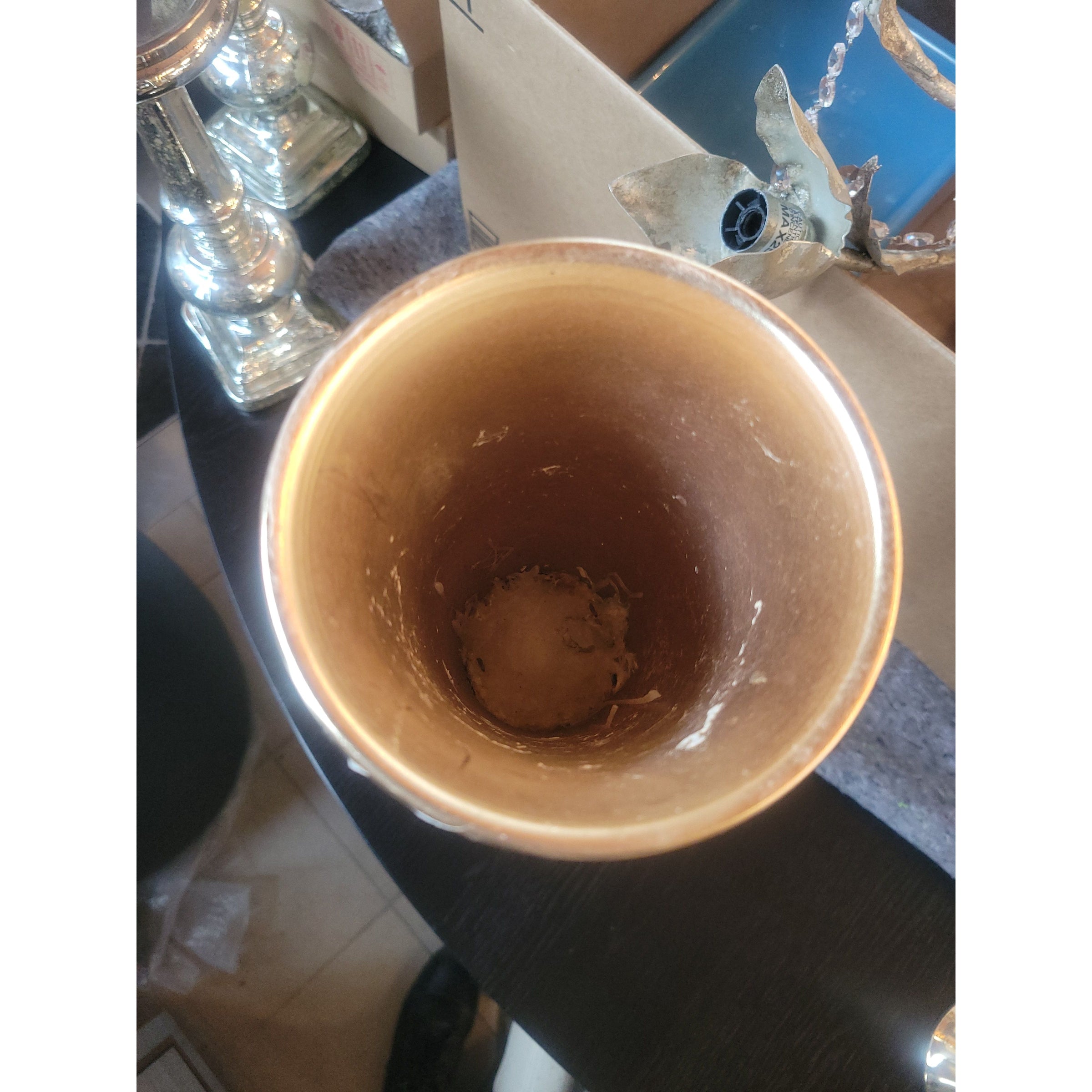 Pair of Rose Gold Trumpet Vases