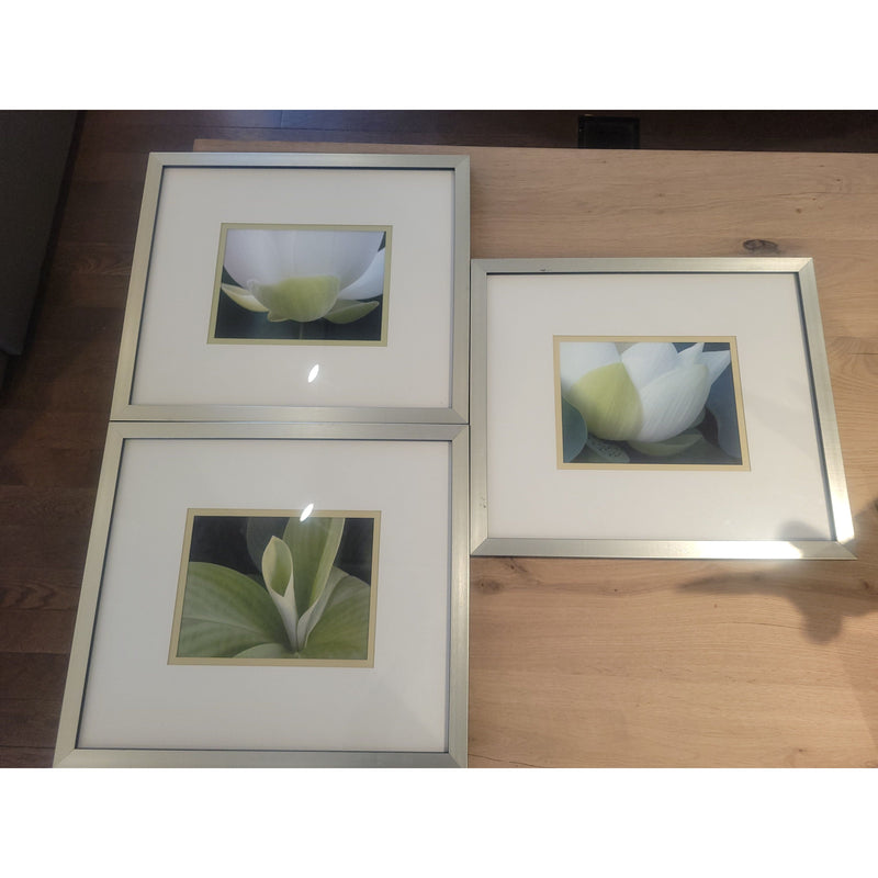 Set of 3 "Fresh Cut" Art Photos in Gold/Black Frames