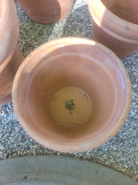 XS Terracotta Clay Planter
