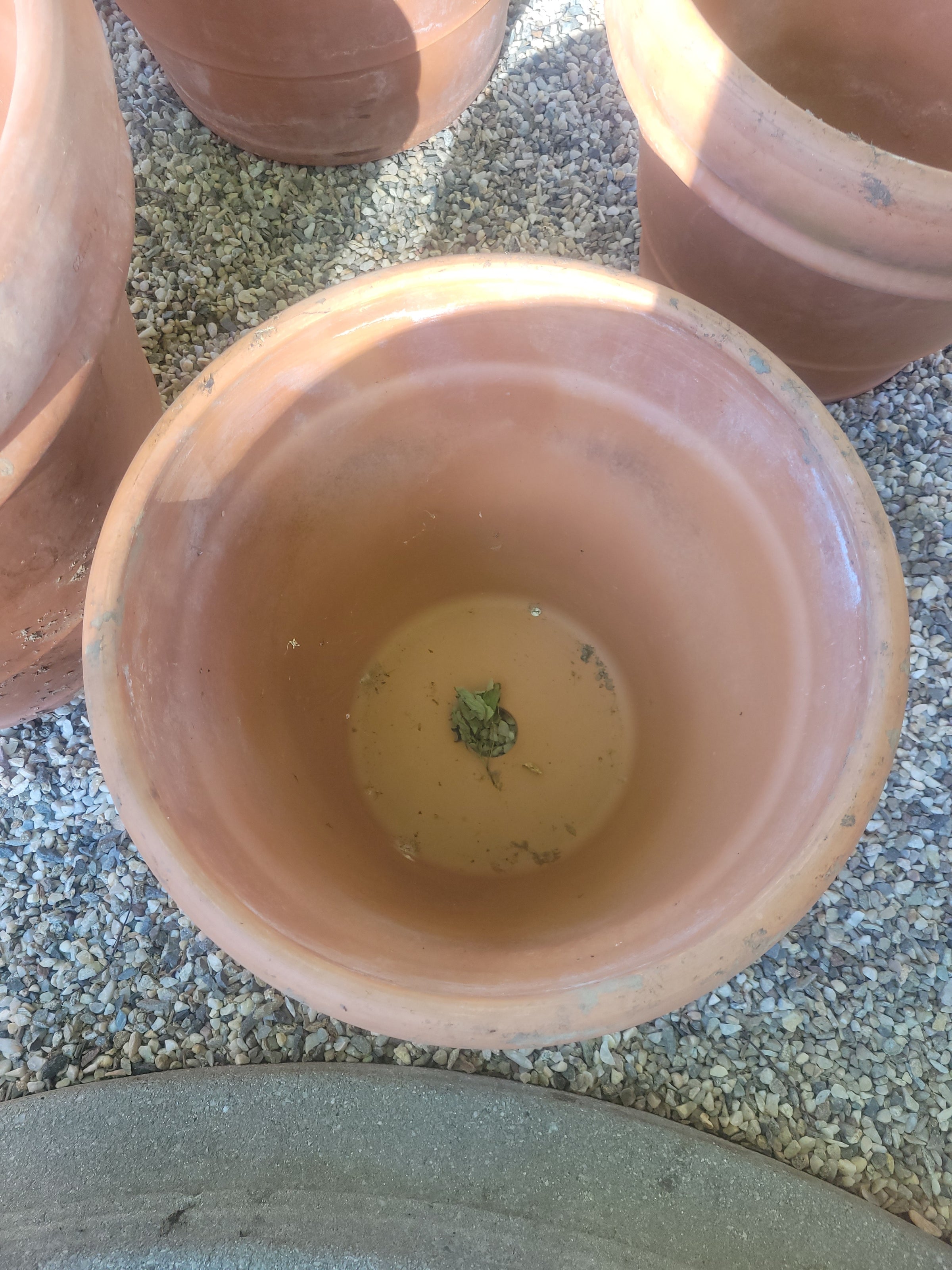 XS Terracotta Clay Planter