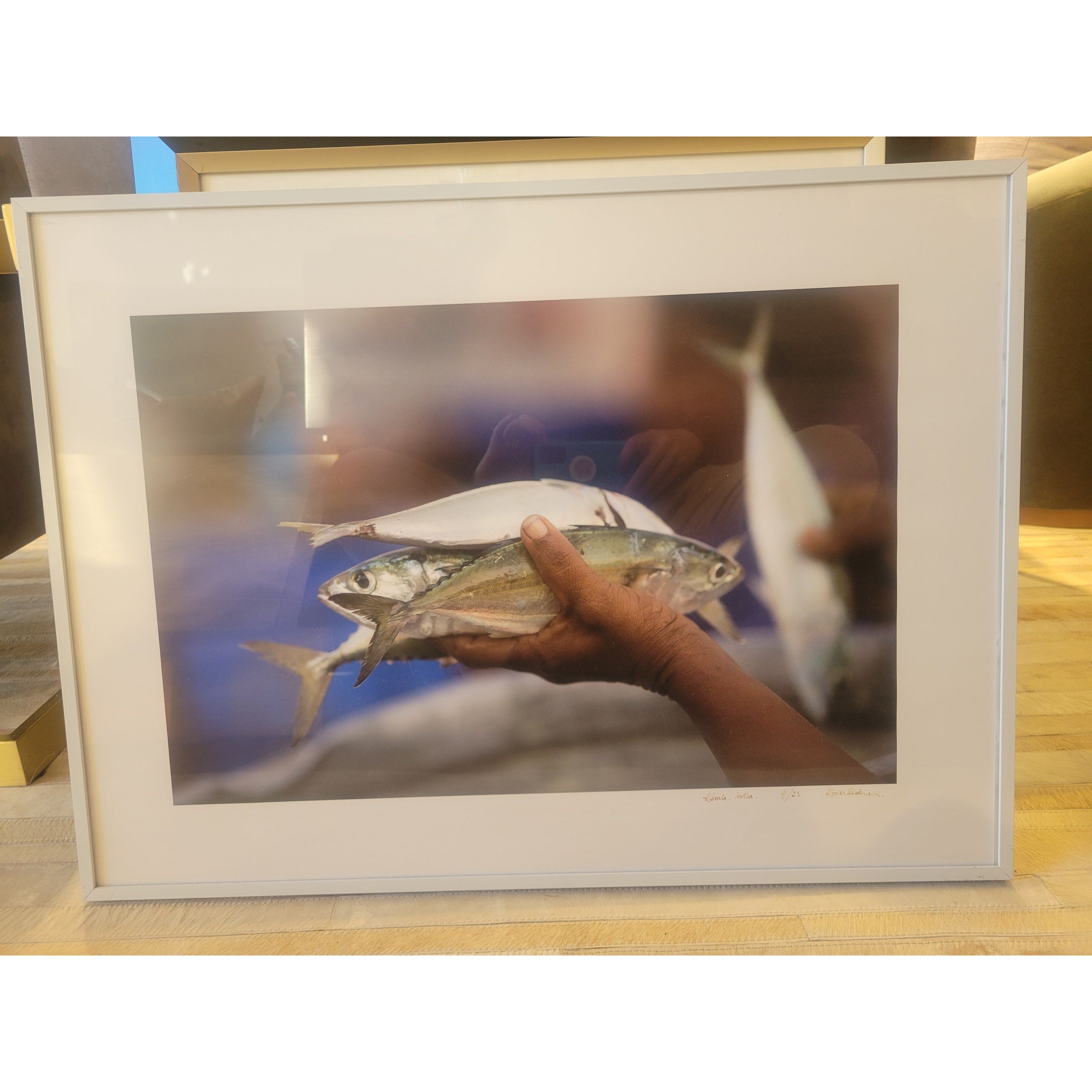 Kerala, India Fish Photograph, L.E. Print in White Frame - colletteconsignment.com