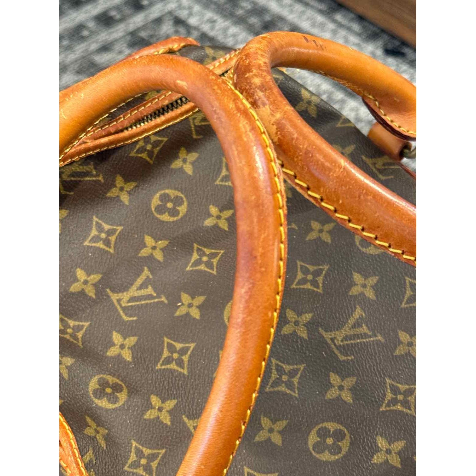 Louis Vuitton Dog Carrier