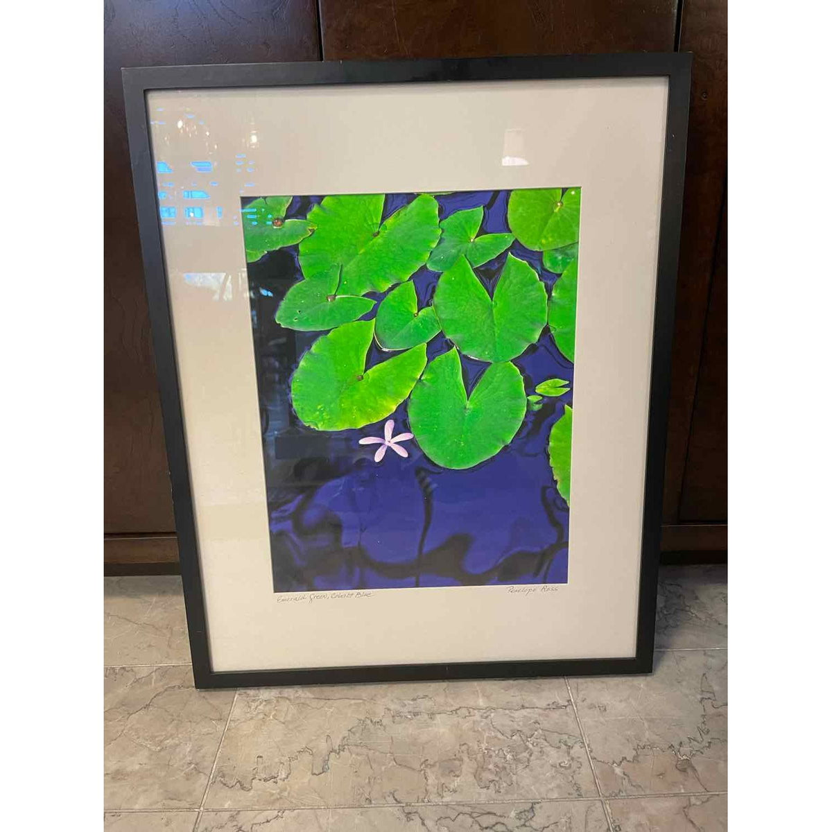 ' Emerald Green, Cobalt Blue ' Art Photo by Penelope Ross in Black Frame