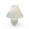 Small Glass Frosted White Lamp