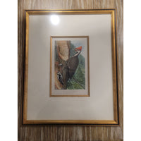 Pileated Woodpecker Print by Louis Agassiz Fuertes in Gold Frame