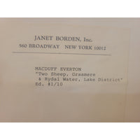 'Two Sheep, Grasmere & Rydal Water, Lake District' Print by Macduff Everton