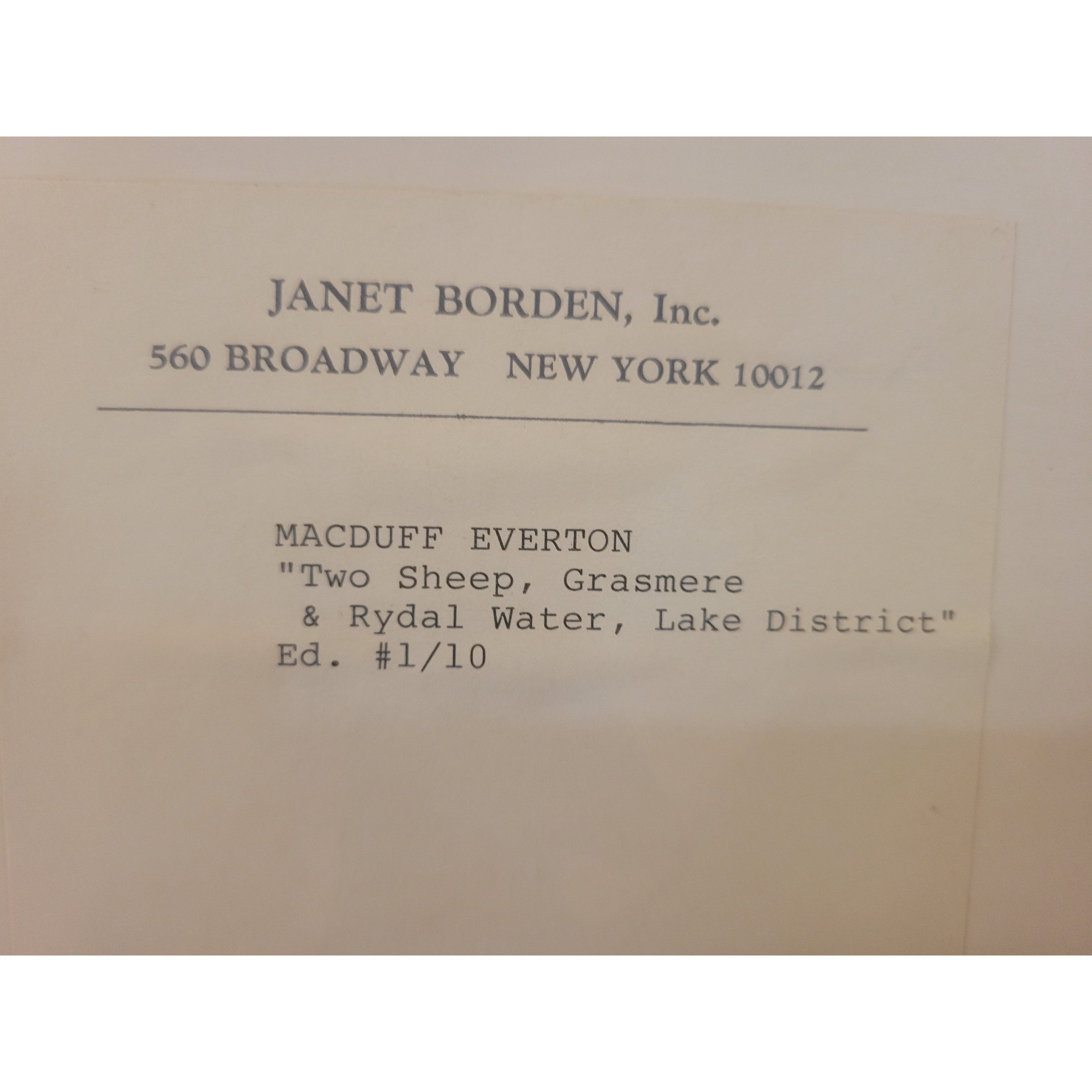 'Two Sheep, Grasmere & Rydal Water, Lake District' Print by Macduff Everton