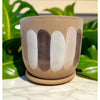 Large Matte Tan Ceramic Pot w/ Drainage Plate