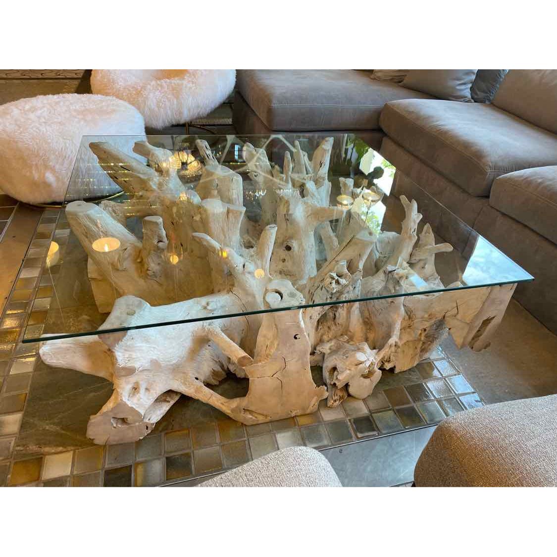 Bleached Teak Live Edge Coffee Table w/ Square Glass Top - colletteconsignment.com